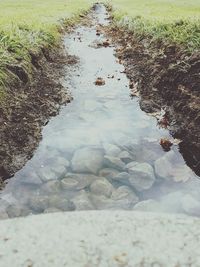 High angle view of puddle on footpath