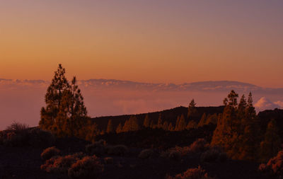 Scenic view of landscape against sky during sunset