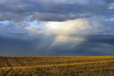 Scenic view of agricultural field against sky