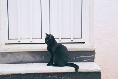 Black cat sitting on window