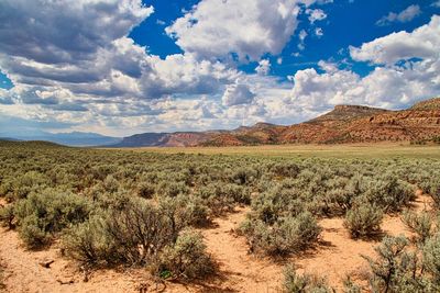 Scenic view of landscape against sky