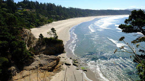 High angle view of sea shore against trees