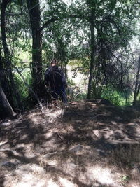 Man standing amidst trees in forest