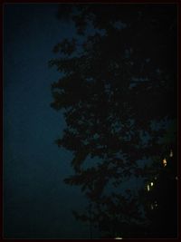 Low angle view of trees against sky