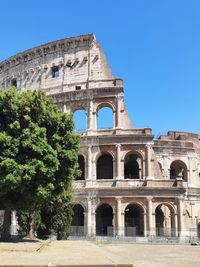 Colosseum in rome