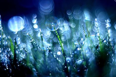Close-up of illuminated lights