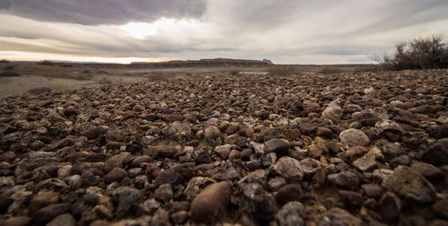 Surface level of pebble land against sky