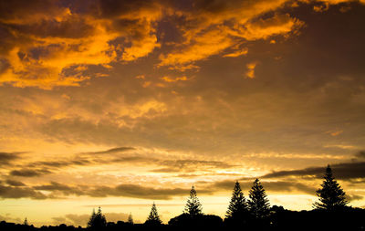 Low angle view of silhouette trees against dramatic sky