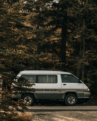 Car parked on road in forest