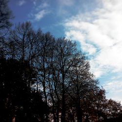 Low angle view of bare trees against sky
