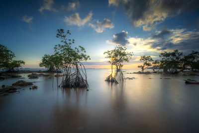 Scenic view of sea against sky during sunset