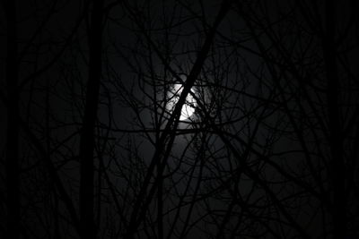 Low angle view of bare trees against sky