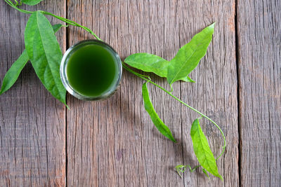 High angle view of green leaves on table