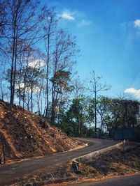 Road by trees against sky