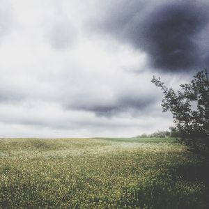 Scenic view of field against cloudy sky