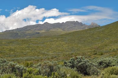 The high altitude moorland against a mountain background, mount kenya, mount kenya national park