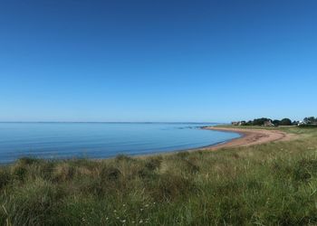 Scenic view of sea against clear blue sky