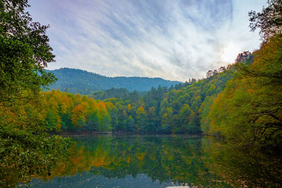 Scenic view of lake by trees against sky