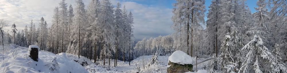 Panoramic view of snow covered land and trees against sky