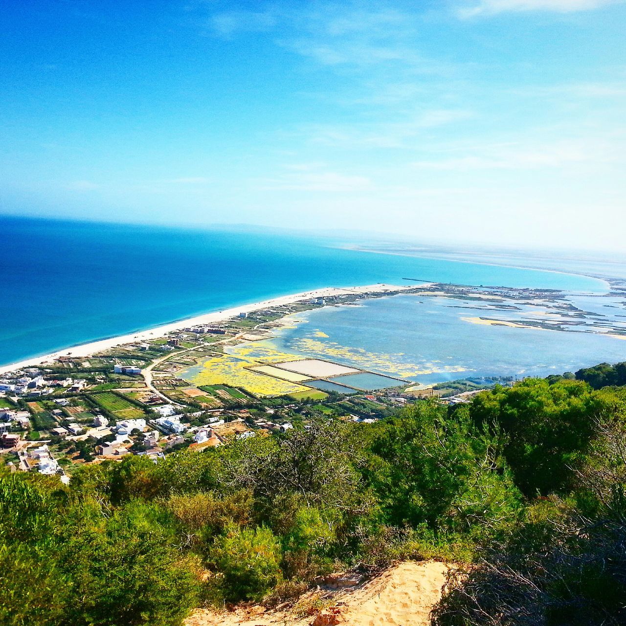 sea, tranquil scene, scenics, water, horizon over water, tranquility, beauty in nature, blue, nature, sky, mountain, high angle view, plant, coastline, idyllic, landscape, growth, non-urban scene, day, green color