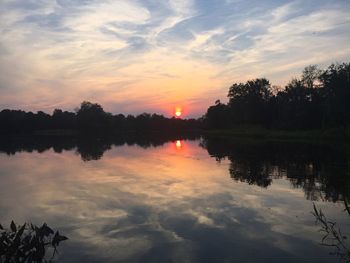 Reflection of trees in lake