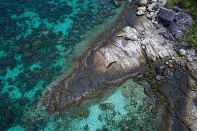 High angle view of sea shore