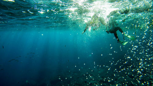 Underwater view of fish swimming in sea