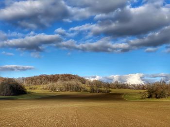 Scenic view of landscape against sky