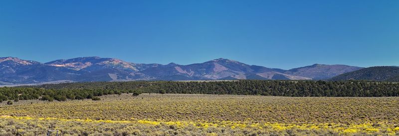 Scenic view of field against clear blue sky