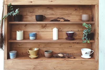 Potted plants on shelf at home