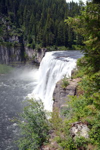 Scenic view of waterfall in forest