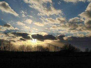 Silhouette trees on field against sky during sunset