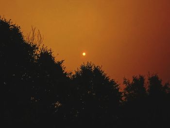 Silhouette trees against orange sky