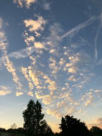 Low angle view of silhouette trees against sky during sunset