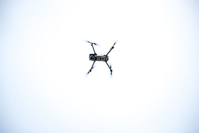 Low angle view of insect against sky