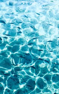 Full frame shot of blue water in swimming pool