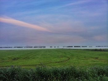 Scenic view of agricultural field against sky