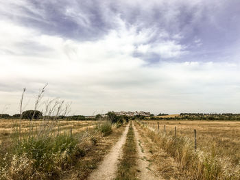 Scenic view of agricultural field against sky