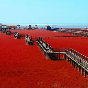 High angle view of red sea against clear sky