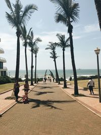 Walkway amidst palm trees leading towards sea against sky on sunny day