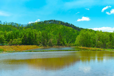 Scenic view of lake by trees against sky