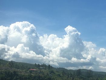 Scenic view of tree against sky