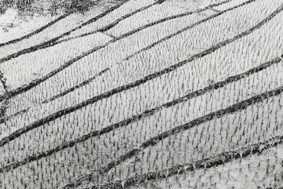 Full frame shot of wall