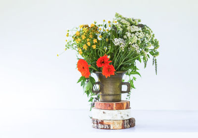 Medicinal herbs. bright summer flowers in brass mortar.