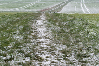 Tire tracks on snow covered land