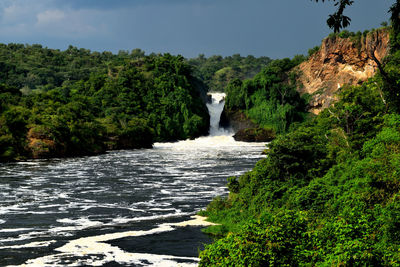 Scenic view of waterfall in forest against sky