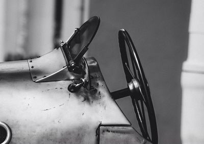 Close up of plant against blurred background