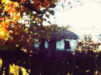 Autumn leaves on tree trunk