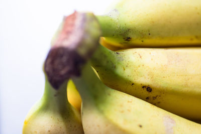 Close-up of bananas