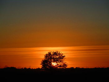 Silhouette trees on landscape against romantic sky at sunset